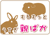 おりじなるぷりんとしょっぷ　ホワイトラビット