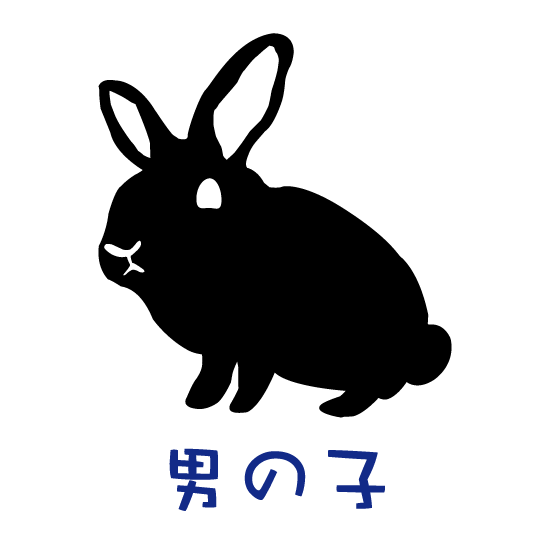 うさぎtシャツ No Rabbit No Life うちの子ネーム入り 立ち耳a 男の子 おりじなるぷりんとしょっぷ White Rabbit ホワイト ラビット